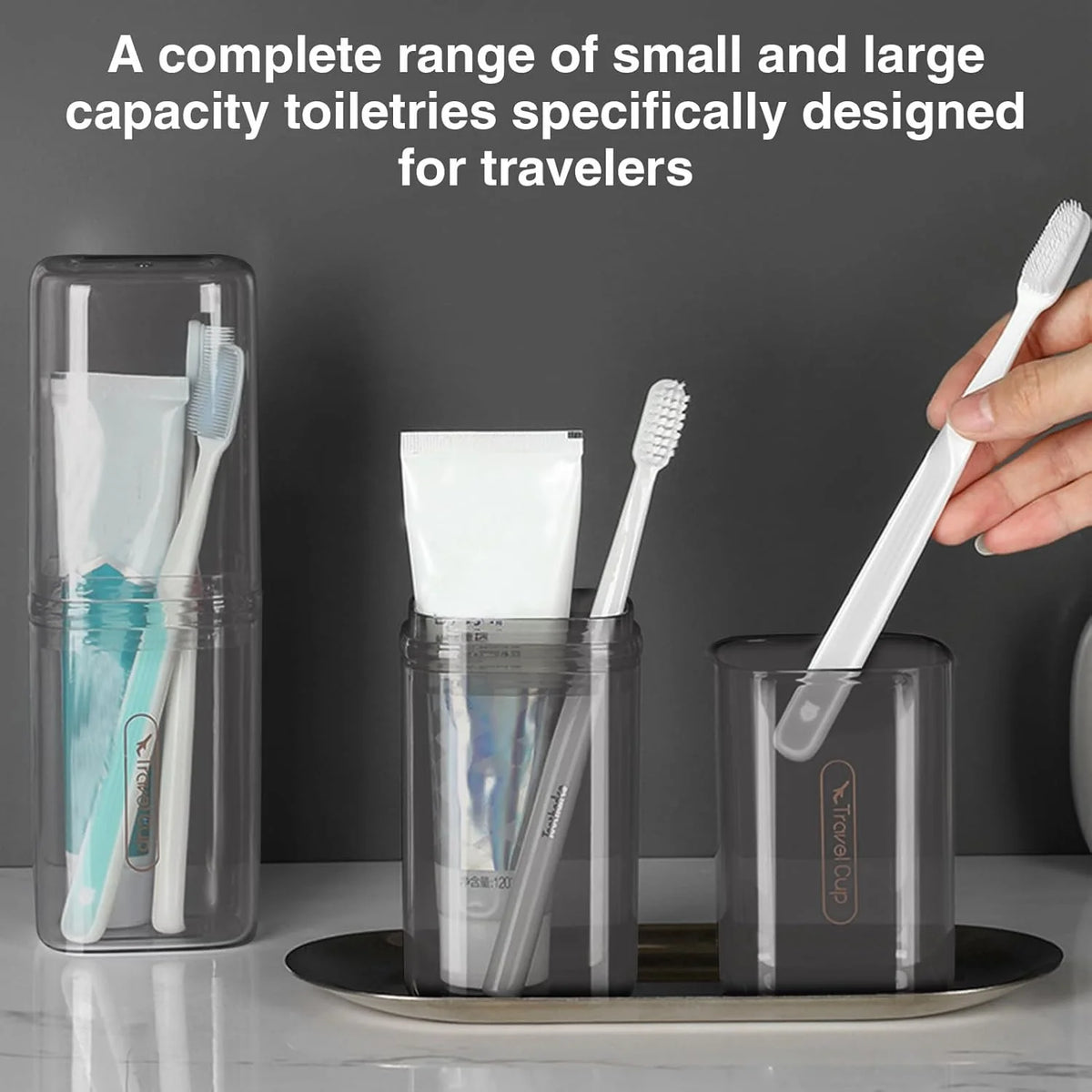 EasyStore Transparent Car Storage Case