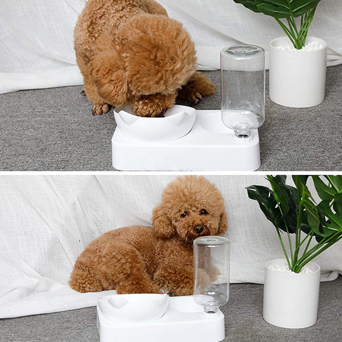 Pet Feeder
